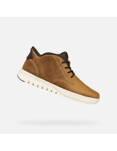 POLACCHINE LIGHT  PLUS