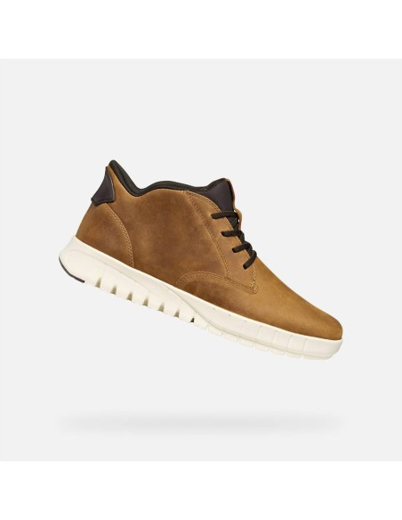 POLACCHINE LIGHT  PLUS