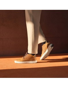 POLACCHINE LIGHT  PLUS 2