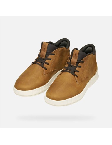 POLACCHINE LIGHT  PLUS